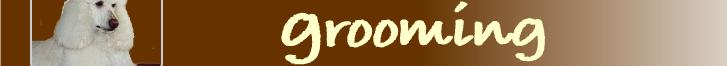 JLNobackground